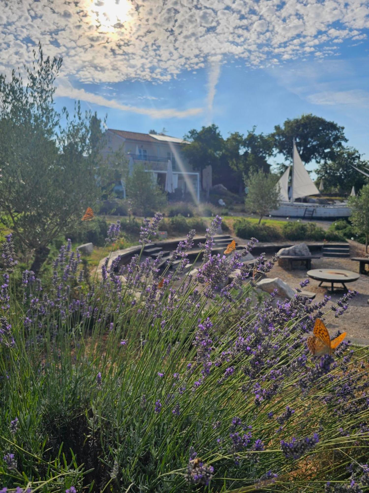 Boutique Resort Osma - Adults Only Malinska Εξωτερικό φωτογραφία